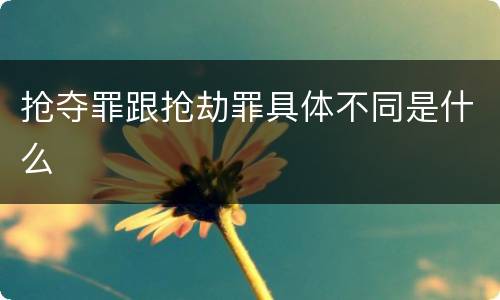 抢夺罪跟抢劫罪具体不同是什么