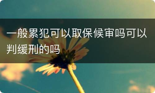 一般累犯可以取保候审吗可以判缓刑的吗