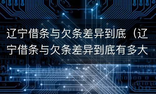 辽宁借条与欠条差异到底（辽宁借条与欠条差异到底有多大）