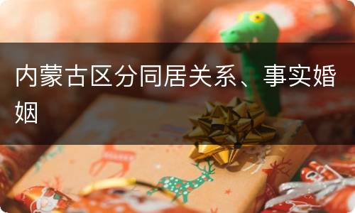 内蒙古区分同居关系、事实婚姻