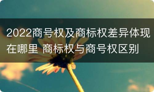2022商号权及商标权差异体现在哪里 商标权与商号权区别