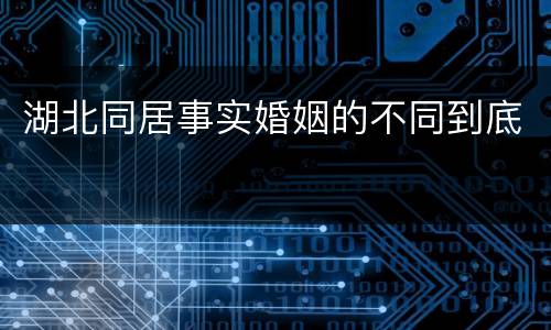 湖北同居事实婚姻的不同到底