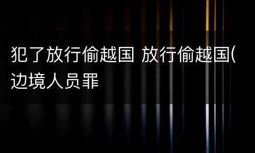 犯了放行偷越国 放行偷越国(边境人员罪