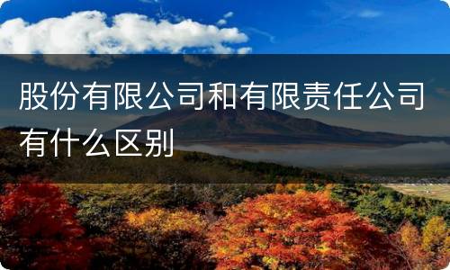 股份有限公司和有限责任公司有什么区别