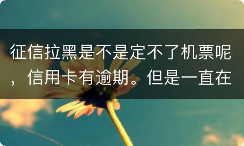 征信拉黑是不是定不了机票呢，信用卡有逾期。但是一直在还