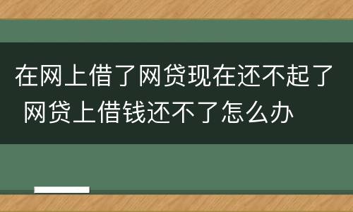 在网上借了网贷现在还不起了 网贷上借钱还不了怎么办