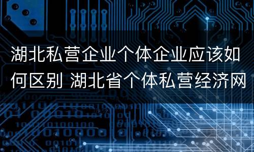湖北私营企业个体企业应该如何区别 湖北省个体私营经济网
