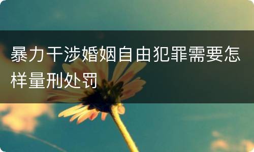暴力干涉婚姻自由犯罪需要怎样量刑处罚
