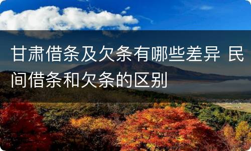 甘肃借条及欠条有哪些差异 民间借条和欠条的区别