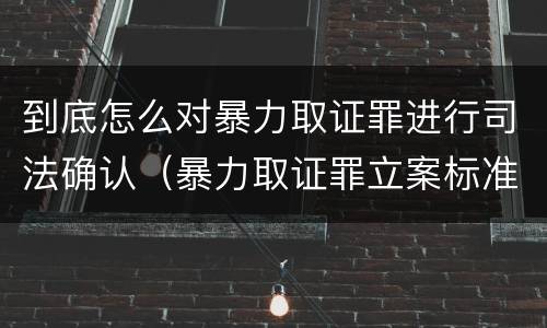 到底怎么对暴力取证罪进行司法确认（暴力取证罪立案标准）