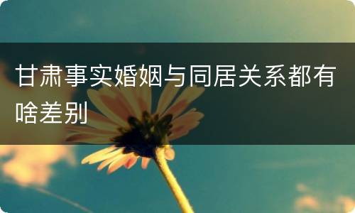 甘肃事实婚姻与同居关系都有啥差别