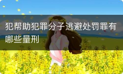 犯帮助犯罪分子逃避处罚罪有哪些量刑