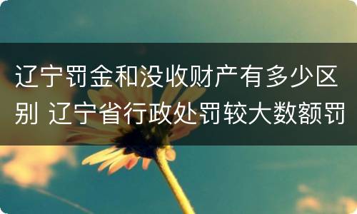 辽宁罚金和没收财产有多少区别 辽宁省行政处罚较大数额罚款标准
