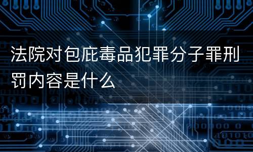 法院对包庇毒品犯罪分子罪刑罚内容是什么