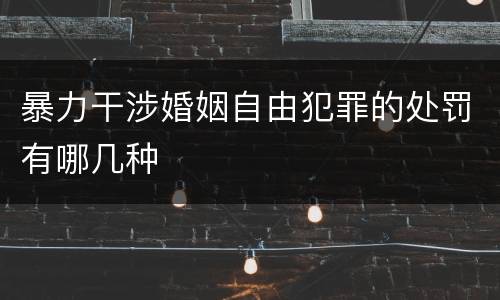 暴力干涉婚姻自由犯罪的处罚有哪几种
