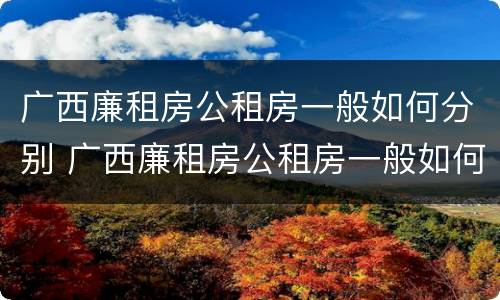 广西廉租房公租房一般如何分别 广西廉租房公租房一般如何分别摇号