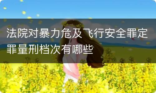 法院对暴力危及飞行安全罪定罪量刑档次有哪些