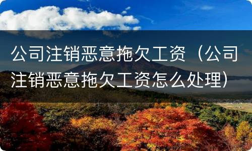 公司注销恶意拖欠工资（公司注销恶意拖欠工资怎么处理）