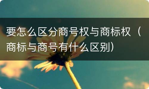 要怎么区分商号权与商标权（商标与商号有什么区别）