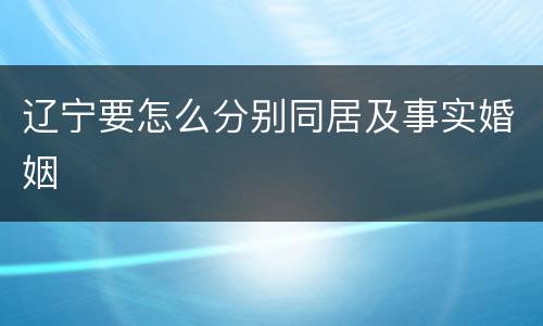 辽宁要怎么分别同居及事实婚姻
