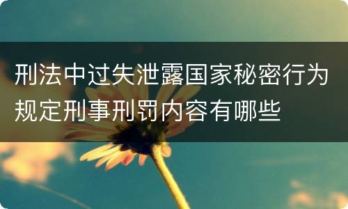 刑法中过失泄露国家秘密行为规定刑事刑罚内容有哪些