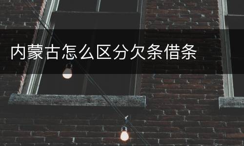 内蒙古怎么区分欠条借条