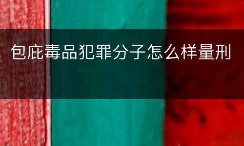 包庇毒品犯罪分子怎么样量刑