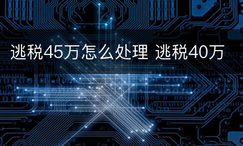 逃税45万怎么处理 逃税40万
