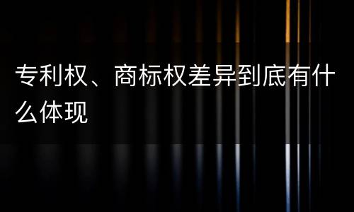 专利权、商标权差异到底有什么体现