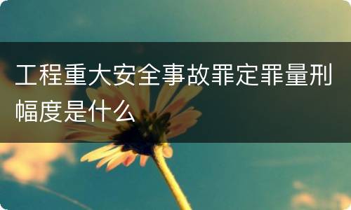 工程重大安全事故罪定罪量刑幅度是什么