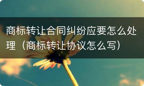 商标转让合同纠纷应要怎么处理（商标转让协议怎么写）