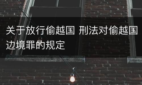 关于放行偷越国 刑法对偷越国边境罪的规定