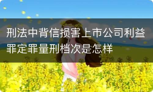 刑法中背信损害上市公司利益罪定罪量刑档次是怎样