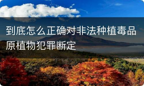 到底怎么正确对非法种植毒品原植物犯罪断定