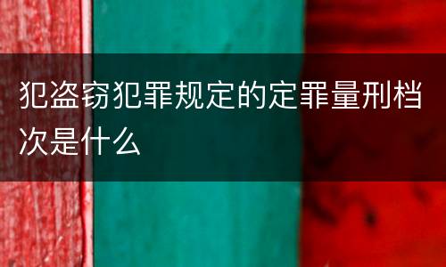 犯盗窃犯罪规定的定罪量刑档次是什么