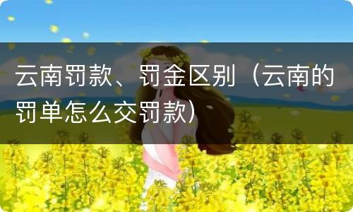 云南罚款、罚金区别（云南的罚单怎么交罚款）