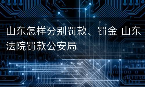 山东怎样分别罚款、罚金 山东法院罚款公安局
