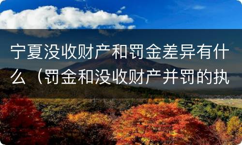 宁夏没收财产和罚金差异有什么（罚金和没收财产并罚的执行顺序）