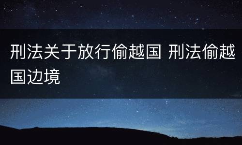 刑法关于放行偷越国 刑法偷越国边境