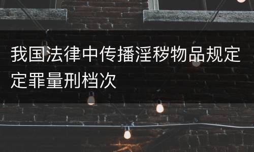 我国法律中传播淫秽物品规定定罪量刑档次
