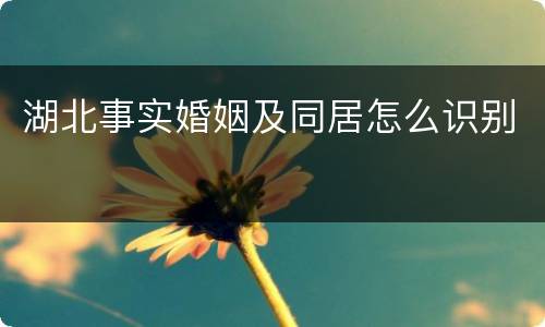 湖北事实婚姻及同居怎么识别