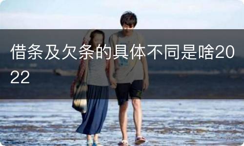 借条及欠条的具体不同是啥2022