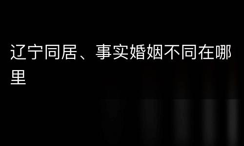 辽宁同居、事实婚姻不同在哪里