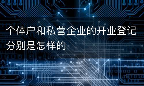 个体户和私营企业的开业登记分别是怎样的