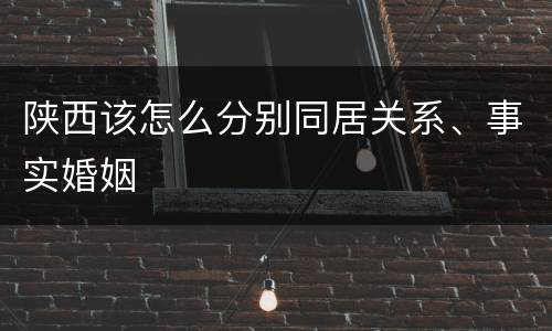 陕西该怎么分别同居关系、事实婚姻