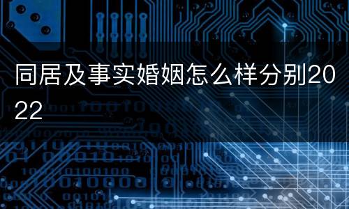 同居及事实婚姻怎么样分别2022