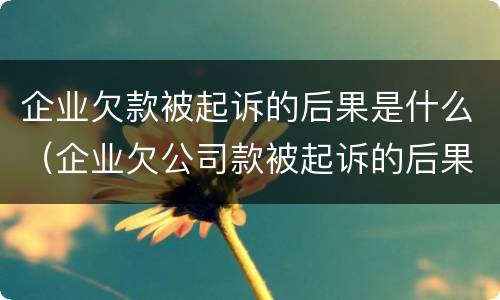 企业欠款被起诉的后果是什么（企业欠公司款被起诉的后果）