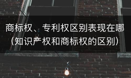 商标权、专利权区别表现在哪（知识产权和商标权的区别）