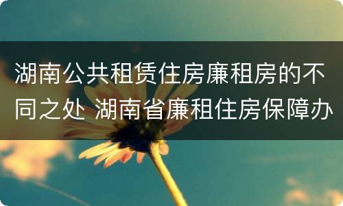 湖南公共租赁住房廉租房的不同之处 湖南省廉租住房保障办法