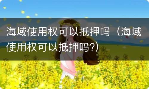 海域使用权可以抵押吗（海域使用权可以抵押吗?）